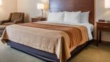 <b>Comfort Inn Salida Room</b>. Images powered by <a href="https://iceportal.shijigroup.com/" title="IcePortal" target="_blank">IcePortal</a>.