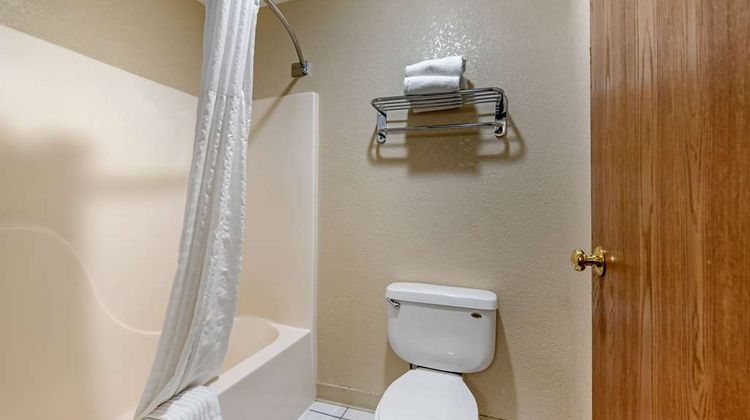 Comfort Inn Denver Southeast/Aurora Room