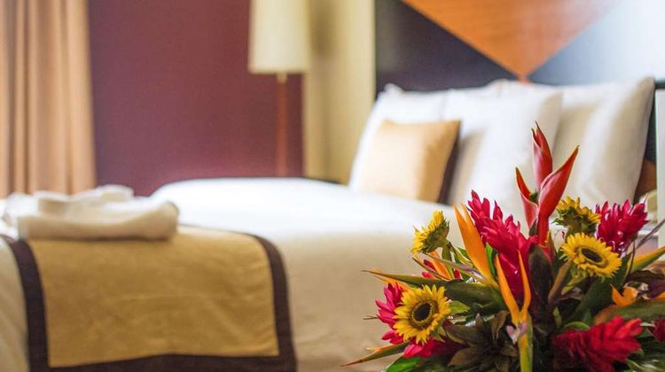 Sleep Inn Paseo Las Damas Room