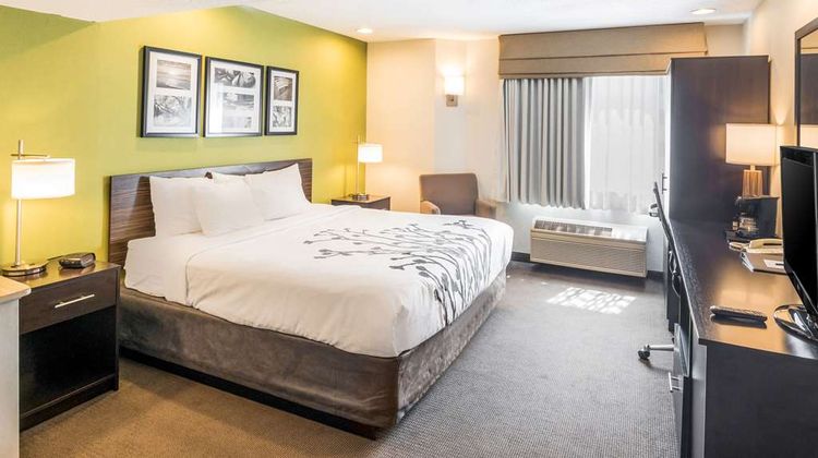 Sleep Inn and Suites Niantic North Room