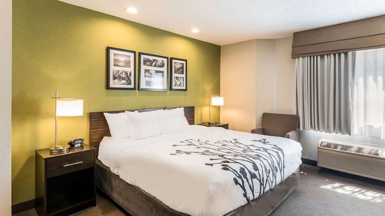 Sleep Inn and Suites Niantic North Room