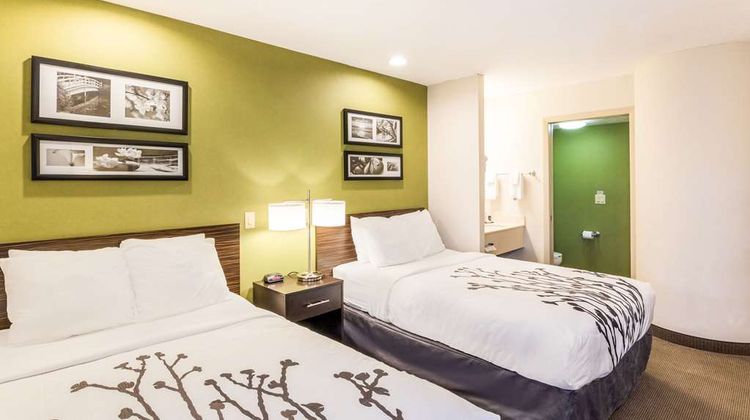 Sleep Inn and Suites Niantic North Room