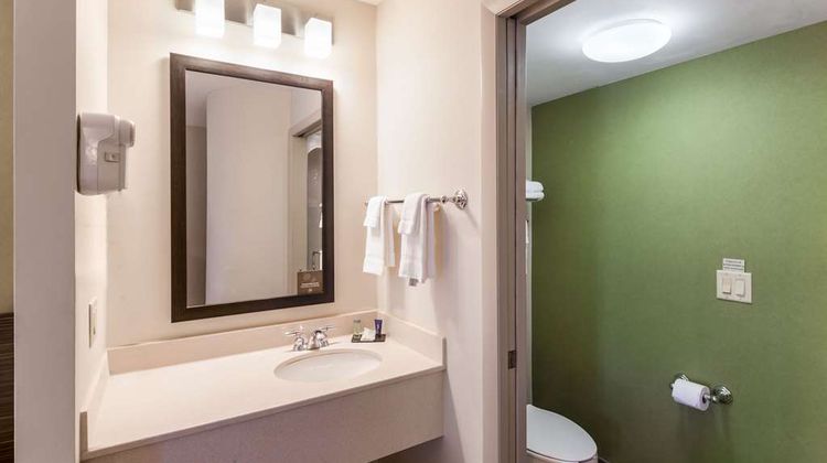Sleep Inn and Suites Niantic North Room