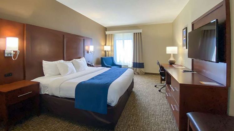 Comfort Inn Room