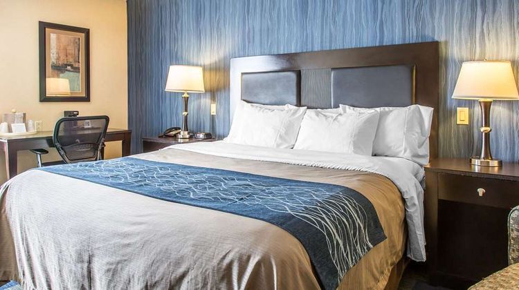 Comfort Inn and Suites Meriden East Room
