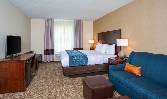Comfort Inn Naugatuck Shelton Room