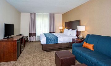 Comfort Inn Naugatuck Shelton