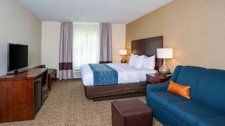 Comfort Inn Room