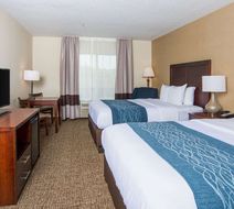 Comfort Inn Naugatuck Shelton Room