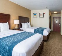 Comfort Inn Naugatuck Shelton Room