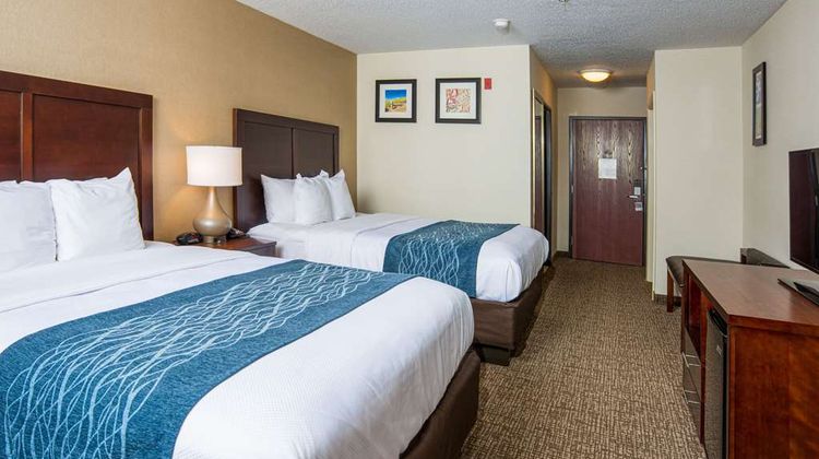 Comfort Inn Room
