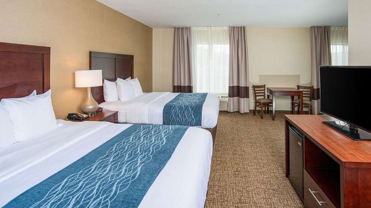 Comfort Inn Suite