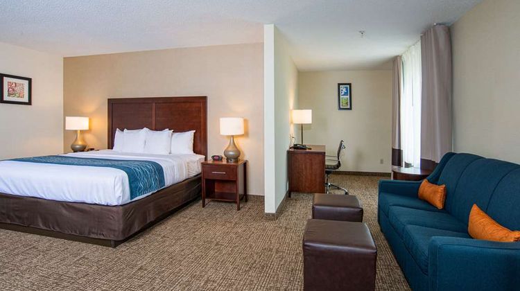 Comfort Inn Suite