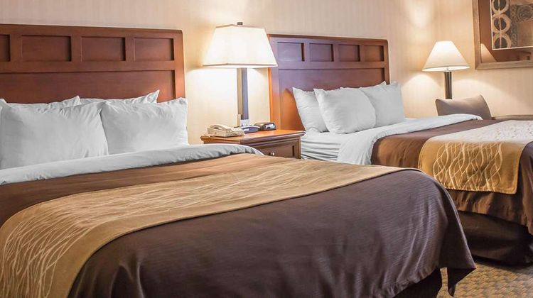 Comfort Inn Wethersfield Room