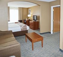 Quality Inn & Suites Georgetown Room