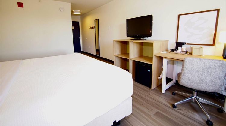 Quality Inn & Suites Georgetown Room