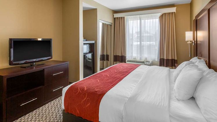 Comfort Suites Seaford Suite