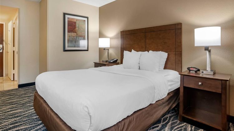 Comfort Inn & Suites Newark Room