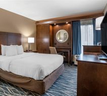 Comfort Inn & Suites Newark Room