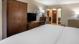 Comfort Inn & Suites Newark Suite
