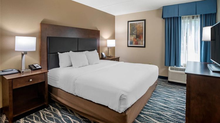 Comfort Inn & Suites Newark Suite