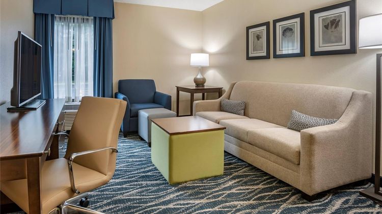 Comfort Inn & Suites Newark Suite