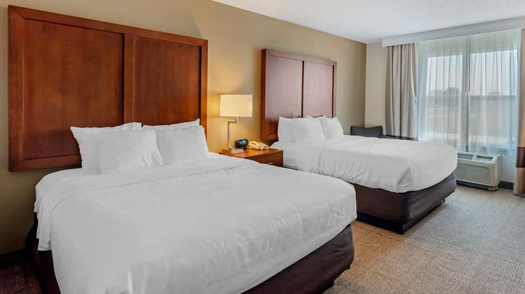 Comfort Inn and Suites Dover Room