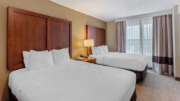 Comfort Inn and Suites Dover Suite