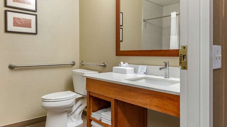 <b>Comfort Suites Dover Room</b>. Images powered by <a href="https://iceportal.shijigroup.com/" title="IcePortal" target="_blank">IcePortal</a>.