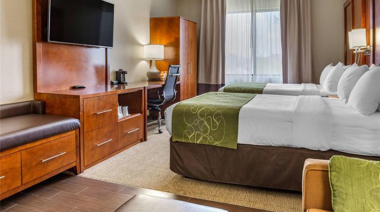 Comfort Suites Dover Suite
