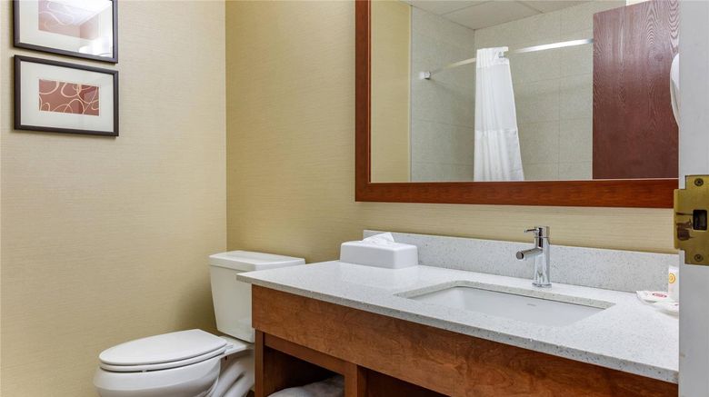 <b>Comfort Suites Dover Room</b>. Images powered by <a href="https://iceportal.shijigroup.com/" title="IcePortal" target="_blank">IcePortal</a>.