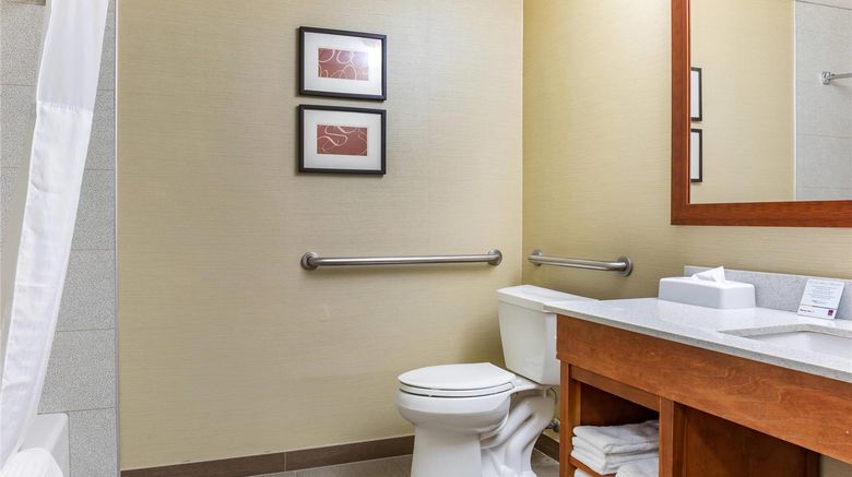 <b>Comfort Suites Dover Room</b>. Images powered by <a href="https://iceportal.shijigroup.com/" title="IcePortal" target="_blank">IcePortal</a>.