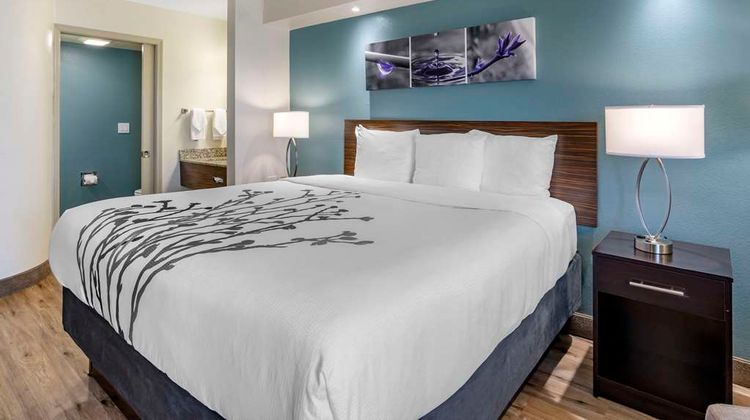 Sleep Inn Clearwater Room