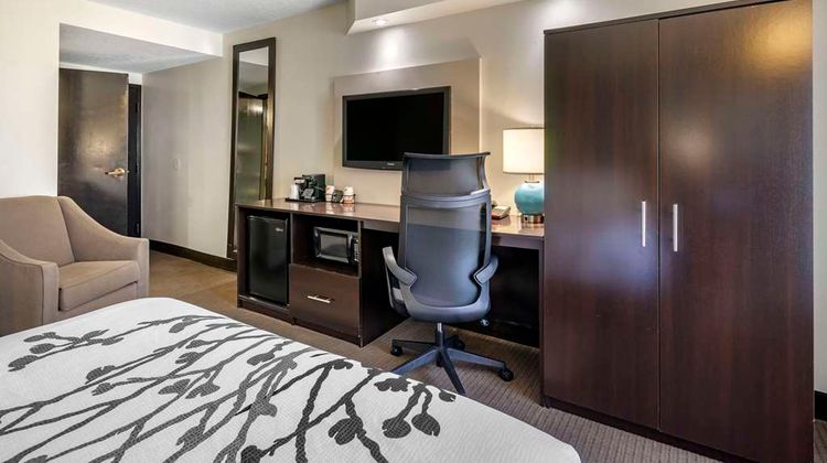 Sleep Inn Clearwater Room