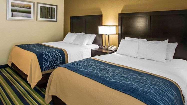 Comfort Inn & Suites-W. Palm Beach South Suite