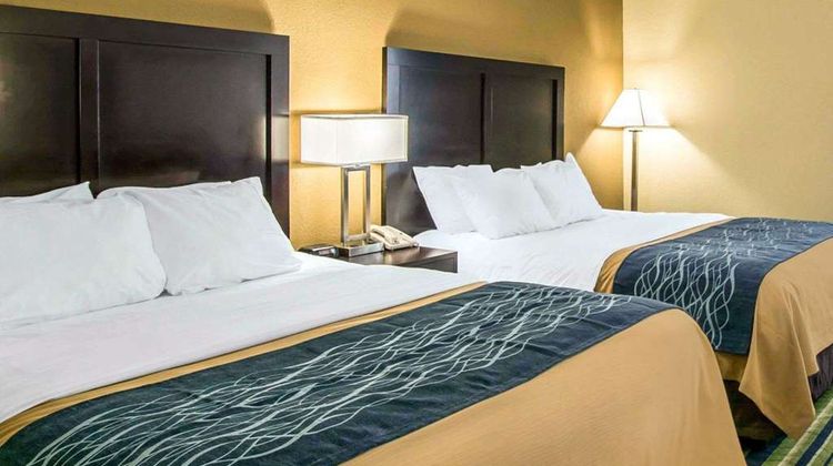 Comfort Inn & Suites-W. Palm Beach South Room