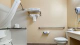 Comfort Suites Jacksonville Airport Room