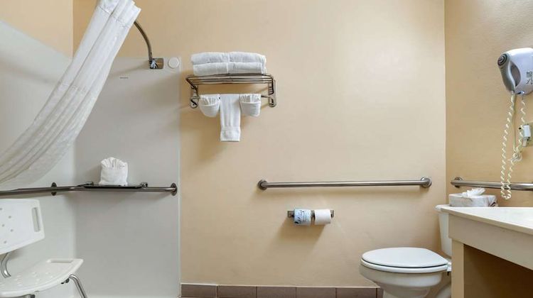 Comfort Suites Jacksonville Airport Room