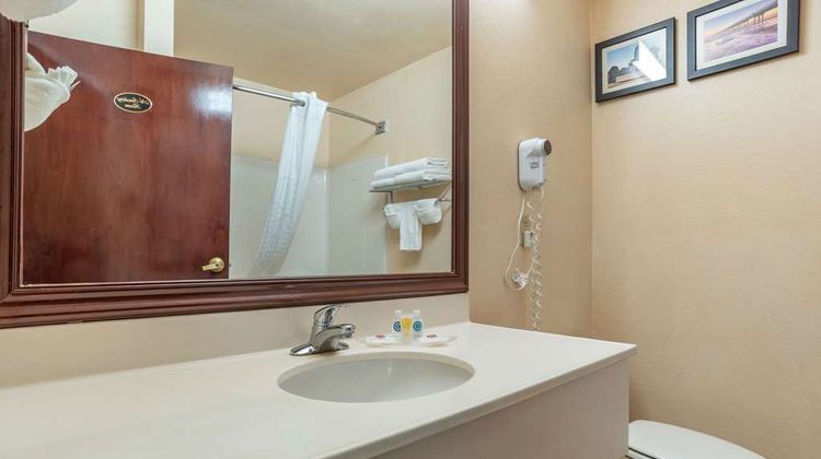 Comfort Suites Jacksonville Airport Room