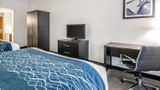 Comfort Inn Gainesville - University Area Room
