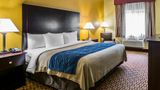 Quality Inn Plant City-Lakeland Room