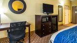Quality Inn Plant City-Lakeland Room