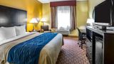 Quality Inn Plant City-Lakeland Room