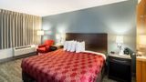 <b>Econo Lodge Crestview South Room</b>. Images powered by <a href="https://iceportal.shijigroup.com/" title="IcePortal" target="_blank">IcePortal</a>.