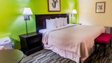 Comfort Inn & Suites Ormond Beach Room
