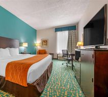 Comfort Inn & Suites Room