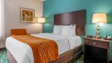 <b>Comfort Inn & Suites Room</b>. Images powered by <a href="https://iceportal.shijigroup.com/" title="IcePortal" target="_blank">IcePortal</a>.