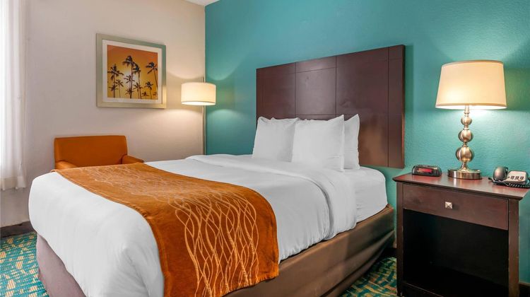 Comfort Inn & Suites Room