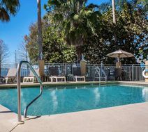 Comfort Suites Clearwater-Dunedin Pool