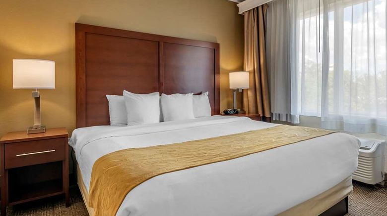 <b>Comfort Suites Sawgrass Room</b>. Images powered by <a href="https://iceportal.shijigroup.com/" title="IcePortal" target="_blank">IcePortal</a>.